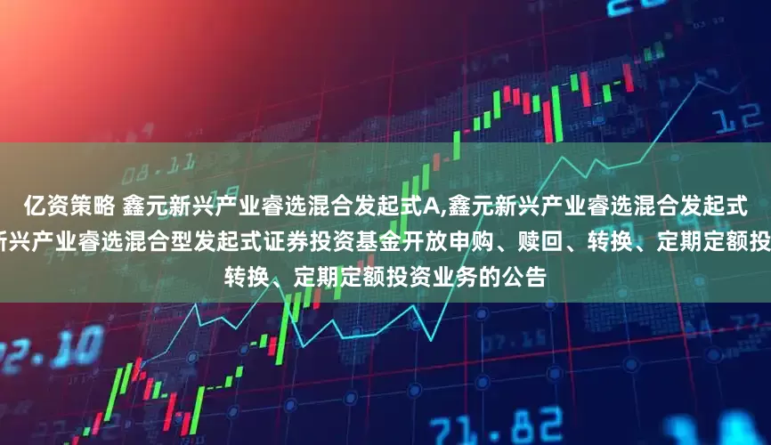 亿资策略 鑫元新兴产业睿选混合发起式A,鑫元新兴产业睿选混合发起式C: 关于鑫元新兴产业睿选混合型发起式证券投资基金开放申购、赎回、转换、定期定额投资业务的公告